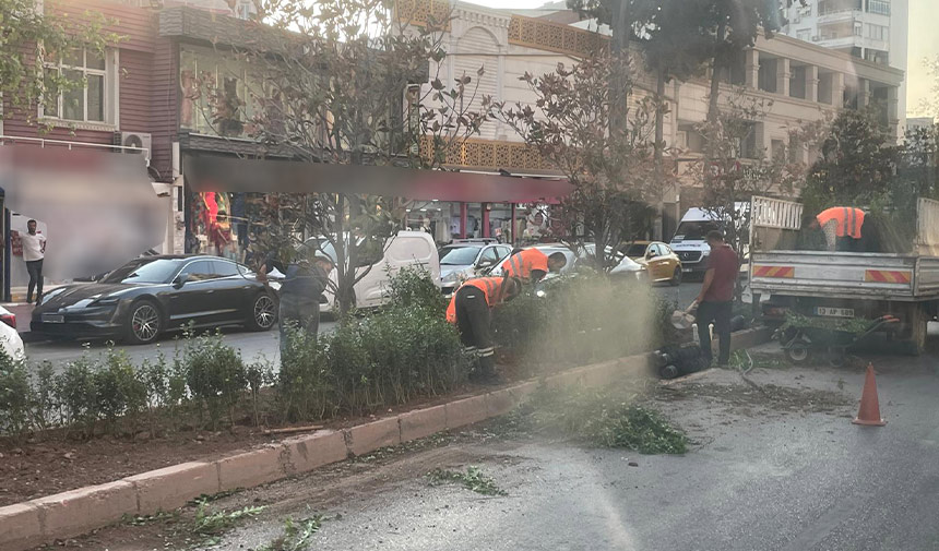 Hastaneler Kavsagi Peyzaj