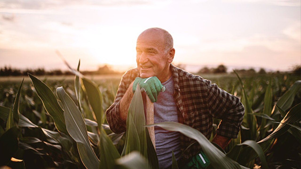 Adanalı Çiftçiye Müjde! 349 Milyon Tl’lik Dev Destek Hesaplara Yatıyor (1)