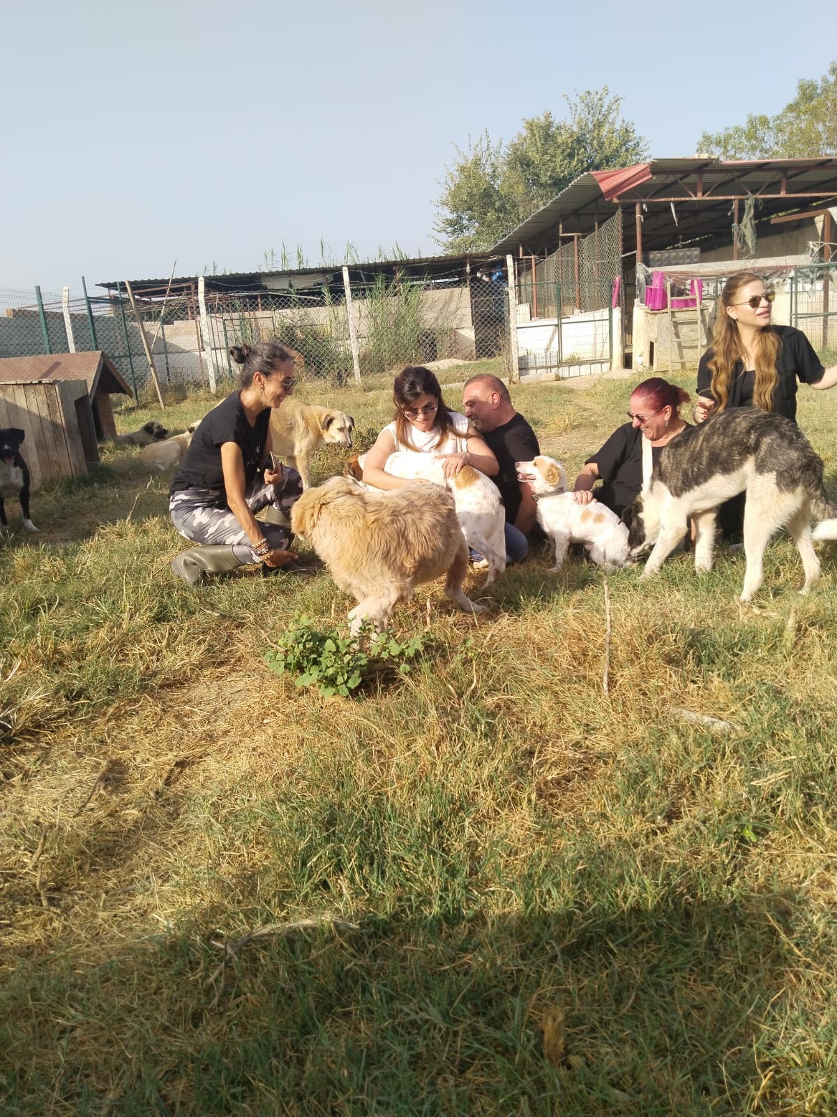 4 Ekim rotary hayvanlar