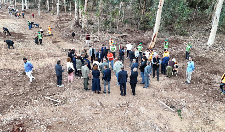 Cu Fidan Dikme Haberi