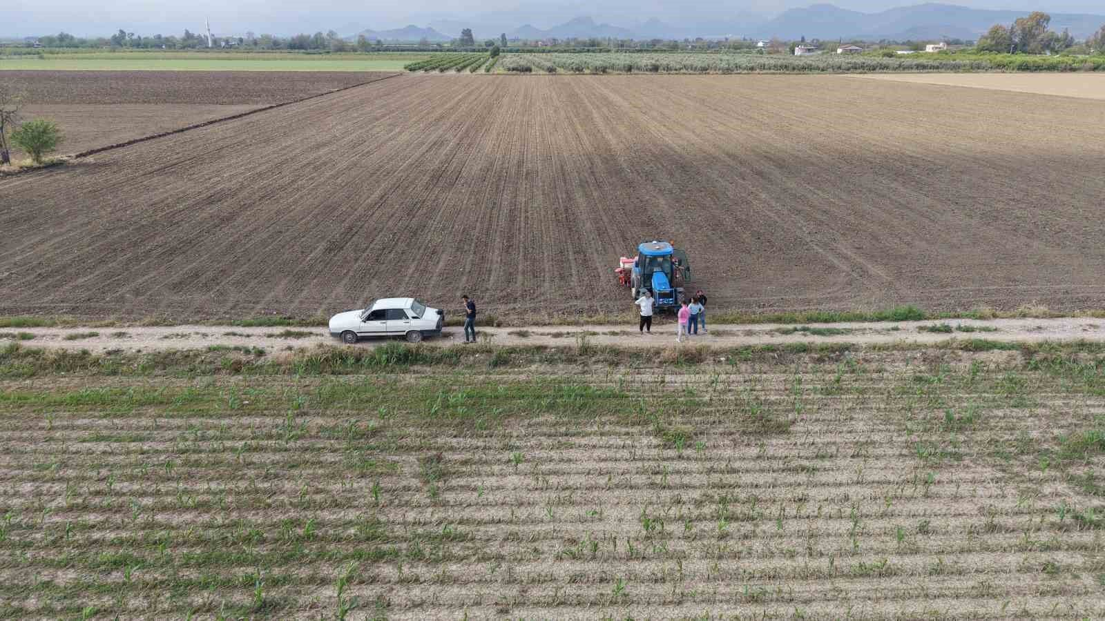 Dolu Mısırı Vurdu, Çiftçi Çareyi Ayçiçeğinde Buldu