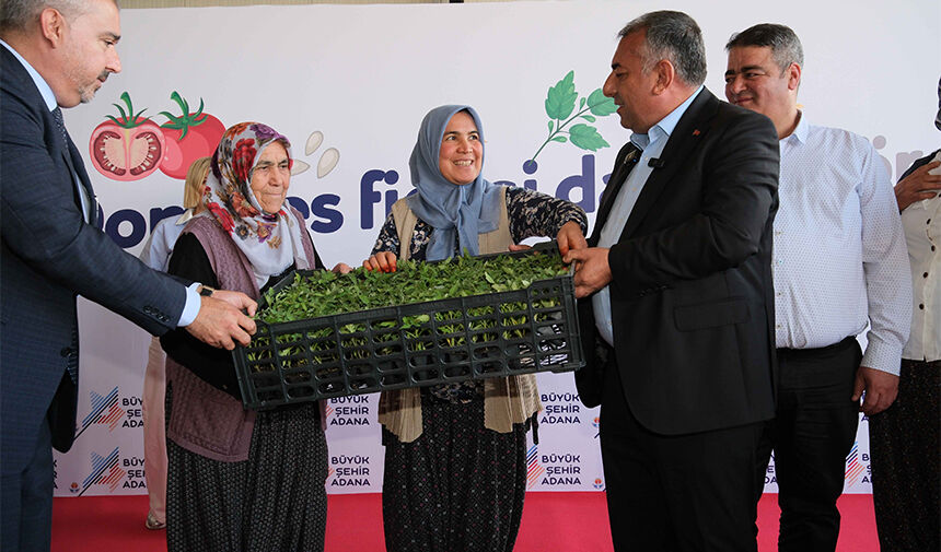 Adana Büyükşehir'den Üreticiye Can Suyu 400 Bin Domates Fidesi Dağıtıldı 2