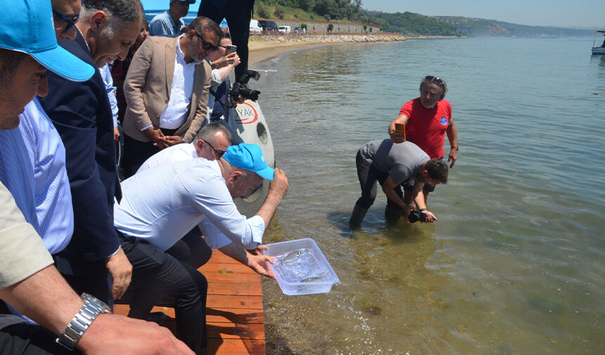 O Y A K Çimento’dan Marmara Denizi’ne Sürdürülebilir Gelecek Yatırımı 2