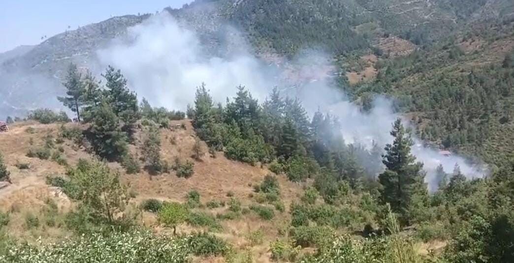 Adana'da Orman Yangını! Ekipler Zamana Karşı Mücadele Veriyor