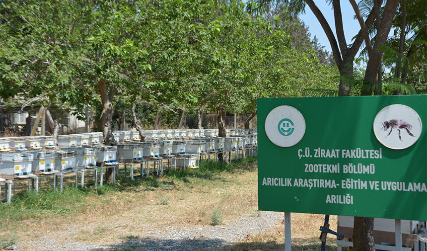 Adana’da Üniversite Çiftliği İçin Alarm! Elektrik Borcu Nedeniyle Kapanma Tehlikesi 2
