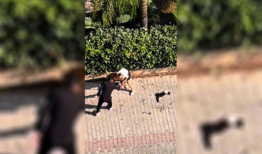 Sokakta ‘ Pitbull’ Dehşeti 7