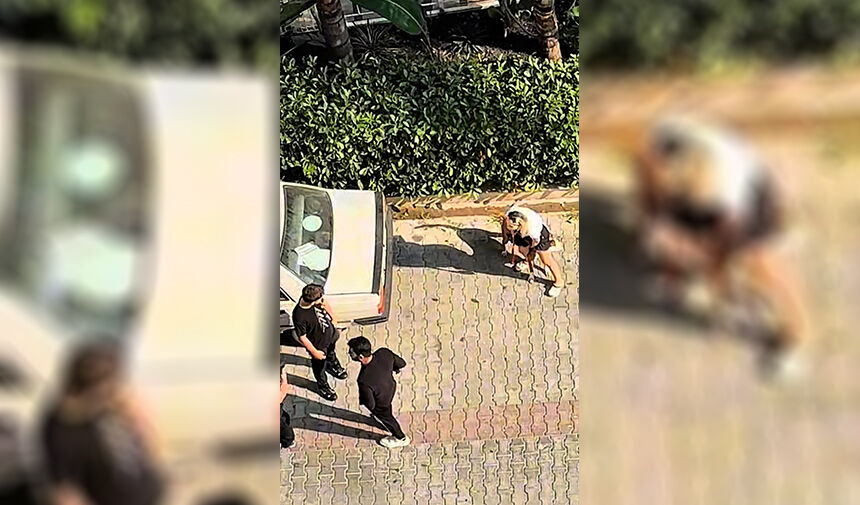 Sokakta ‘ Pitbull’ Dehşeti 8