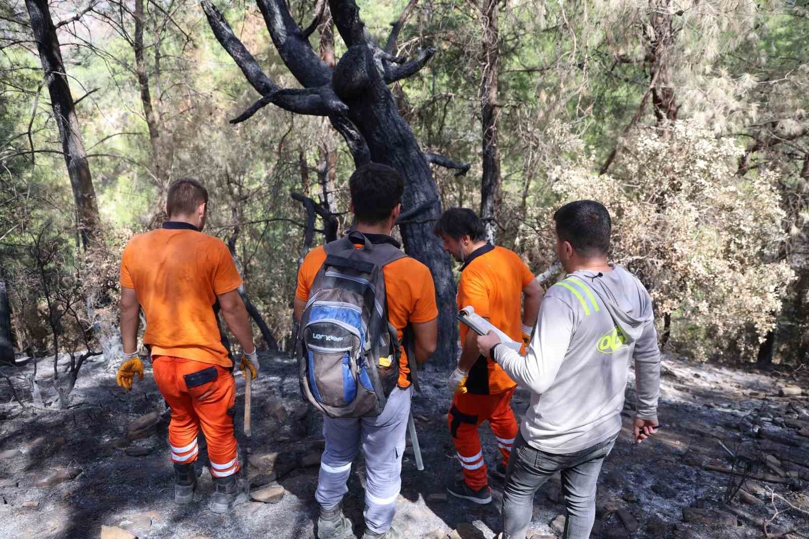 Yanan Ağaçlar Tek Tek Damgalanıyor!