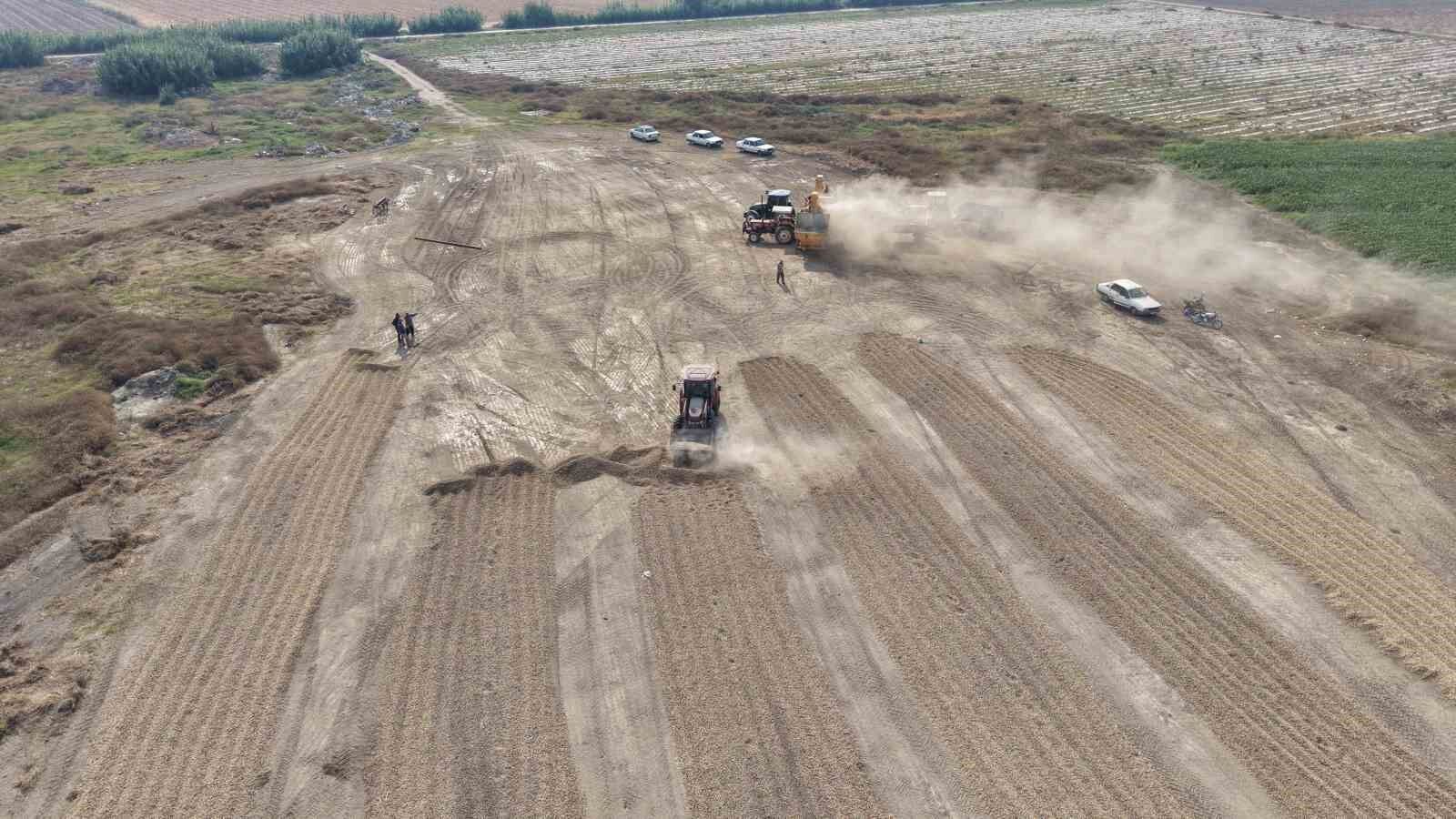 Adana’da Yer Fıstığında Fiyat Şoku!