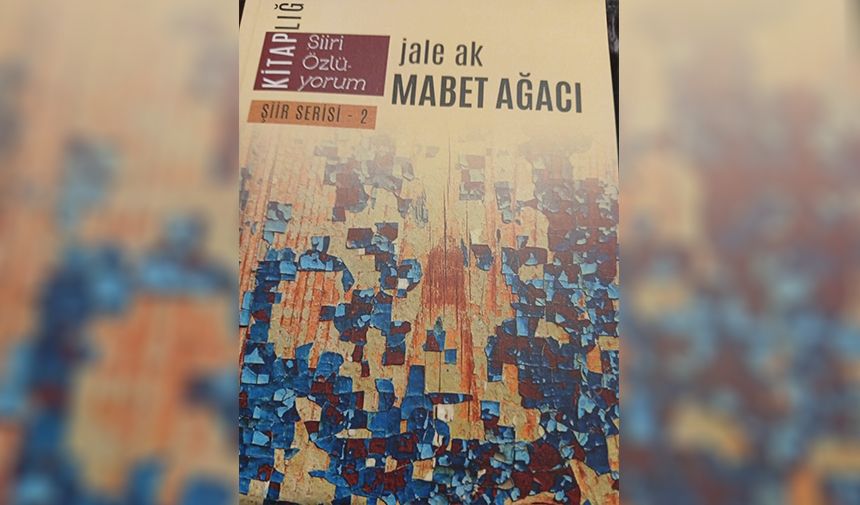 Jale Ak Saksıyı Kırıp Hayatın Gerçek Toprağına Karışmak Erek Haberi 2