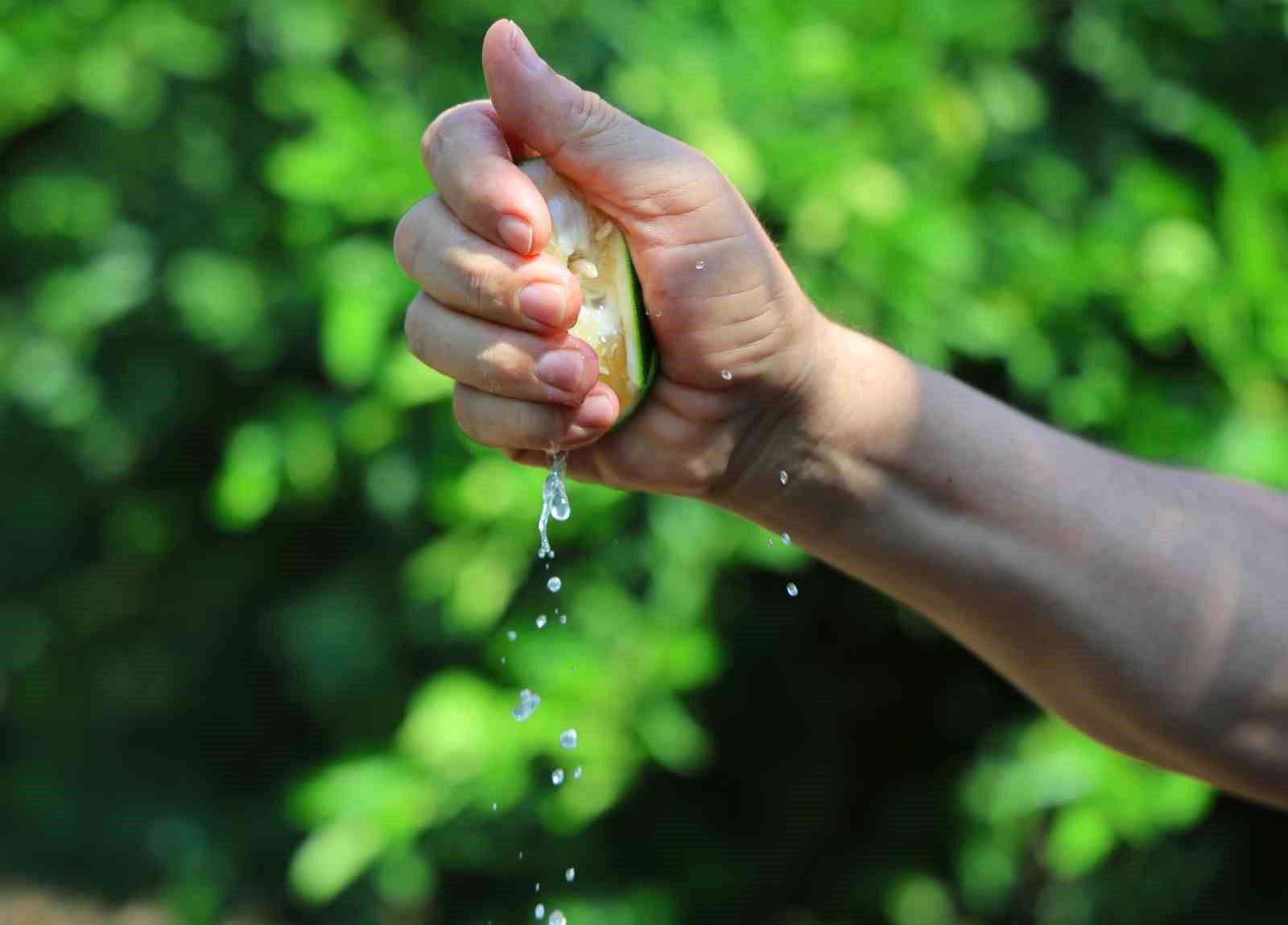 Adana’da Limon Ve Mandalina Dalında Kaldı!