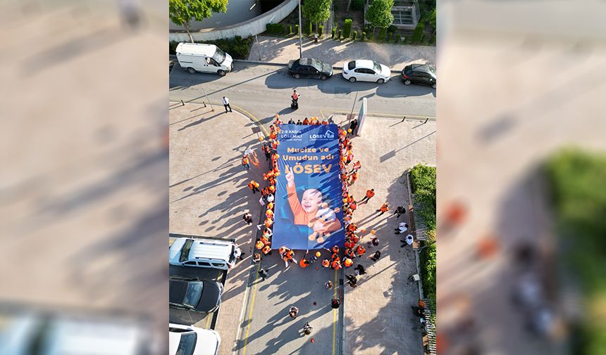 L Ö S E V’den Umut Dolu Mesaj Türkiye Turuncuya Boyanacak Haberi 2